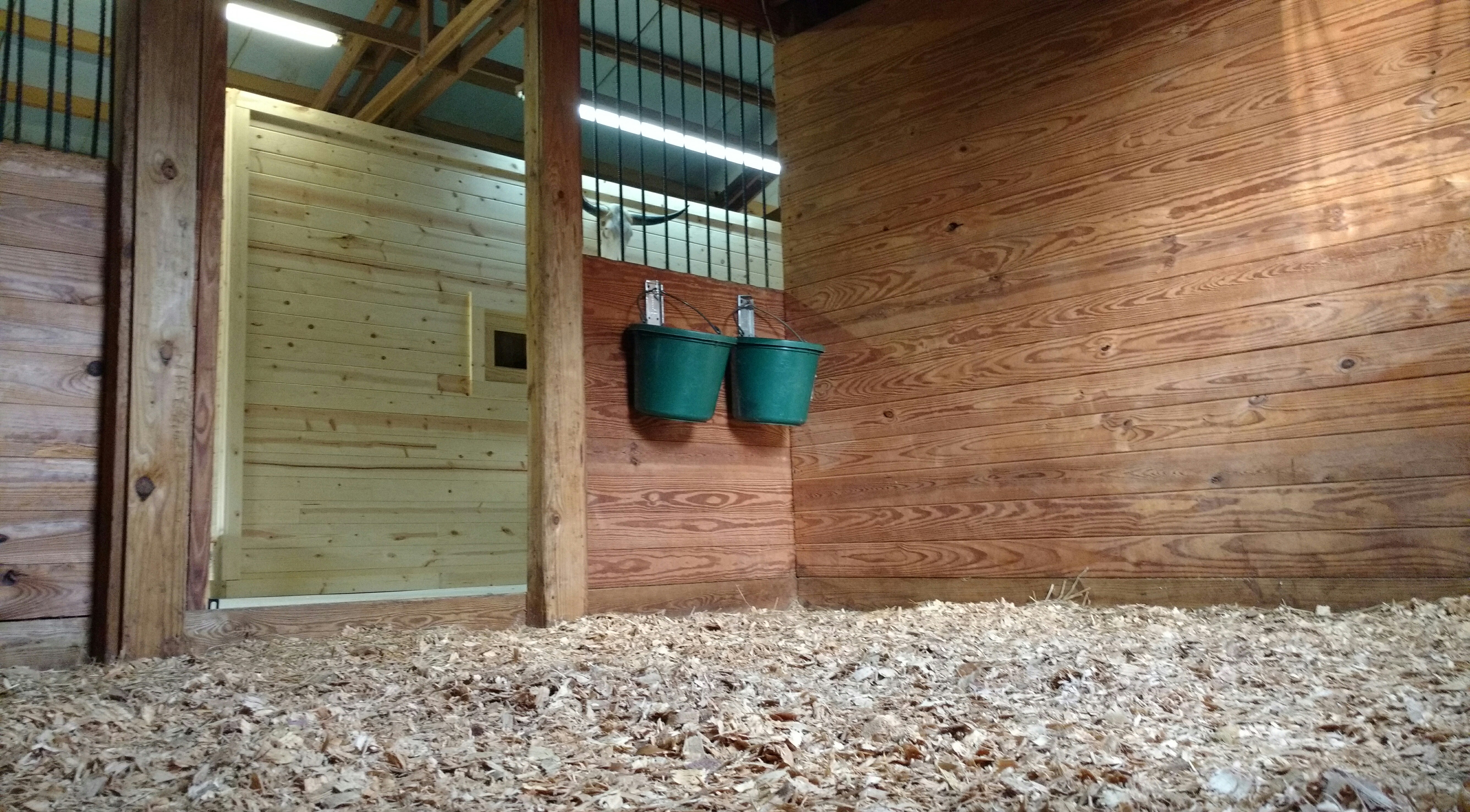 Gallery image 11